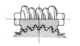 Enveloping Gear Pair internal of Gear Motor