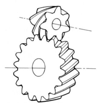 Screw Gear (Crossed Helical Gear) internal of Gear Motor