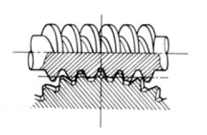 Worm Gear Pair internal of Gear Motor