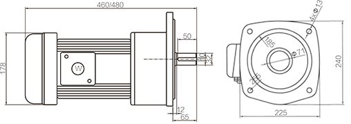 Shaft Size 32mm Medium Gear Motor Vertical