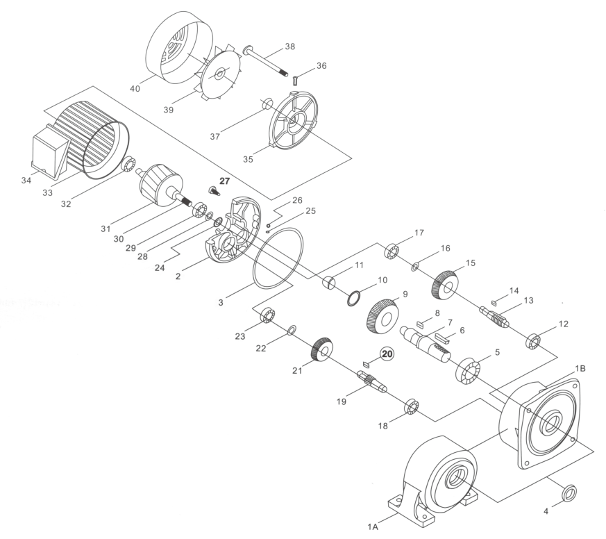 Struct Drawing of Medium Gear Motor