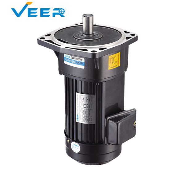 22mm Shaft Medium Gear Reducer Motor, Horizontal Mount Medium Geared Motor, Vertical Mount Medium Geared Motor, Medium Geared Motor, Geared Motor, Medium Geared Motor Manufacturer, High-performance Medium Gear Motor, VEER Geared Motor