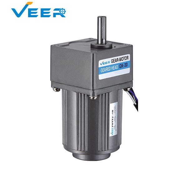 15W Small AC Gear Reducer Motor, Geared Motor, Geared Motor Manufacturer, High-performance Gear Motor, VEER Geared Motor