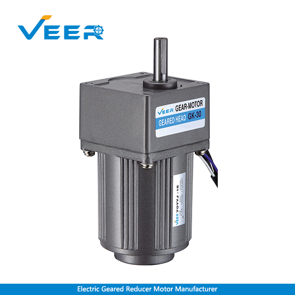 15W Small AC Gear Reducer Motor, Geared Motor, Geared Motor Manufacturer, High-performance Gear Motor, VEER Geared Motor