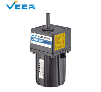 6W Small AC Gear Reducer Motor, Geared Motor, Geared Motor Manufacturer, High-performance Gear Motor, VEER Geared Motor